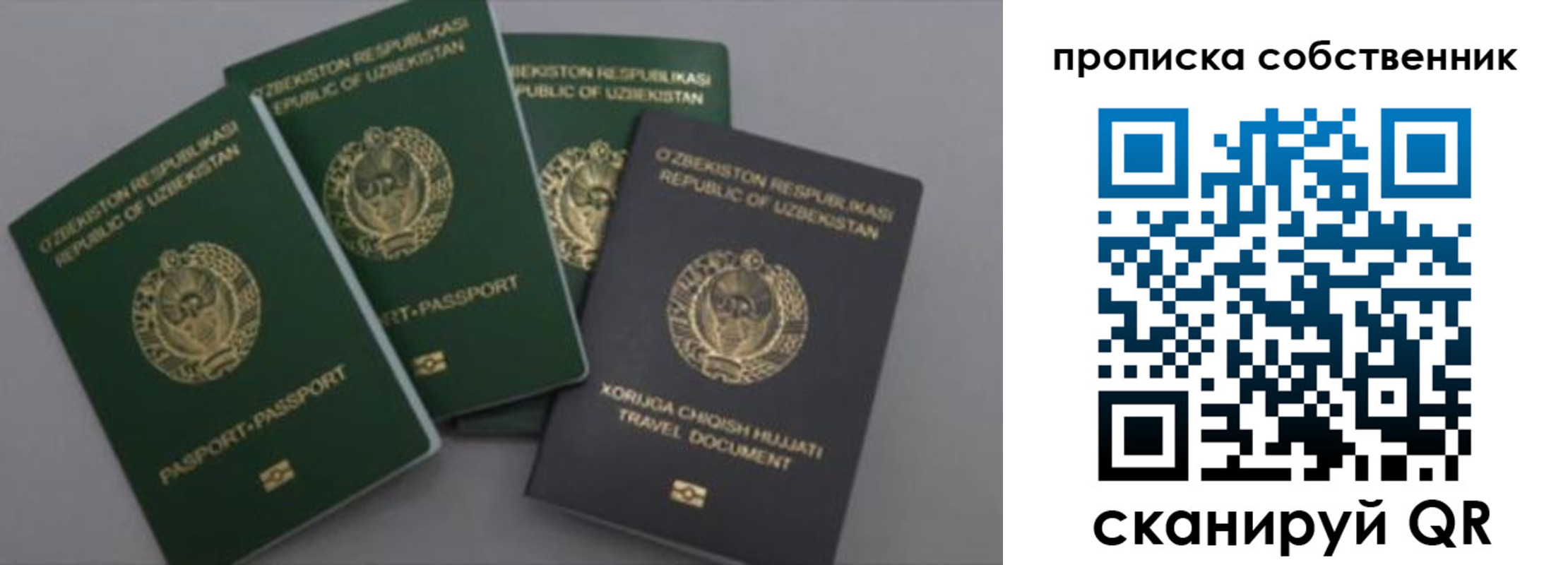 прописка штамп в Североморске